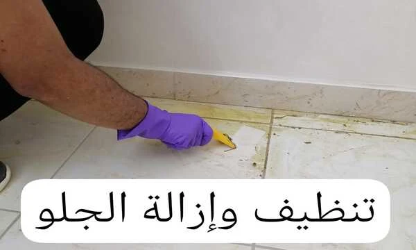 شركة تنظيف جلو الموكيت من الأرضيات